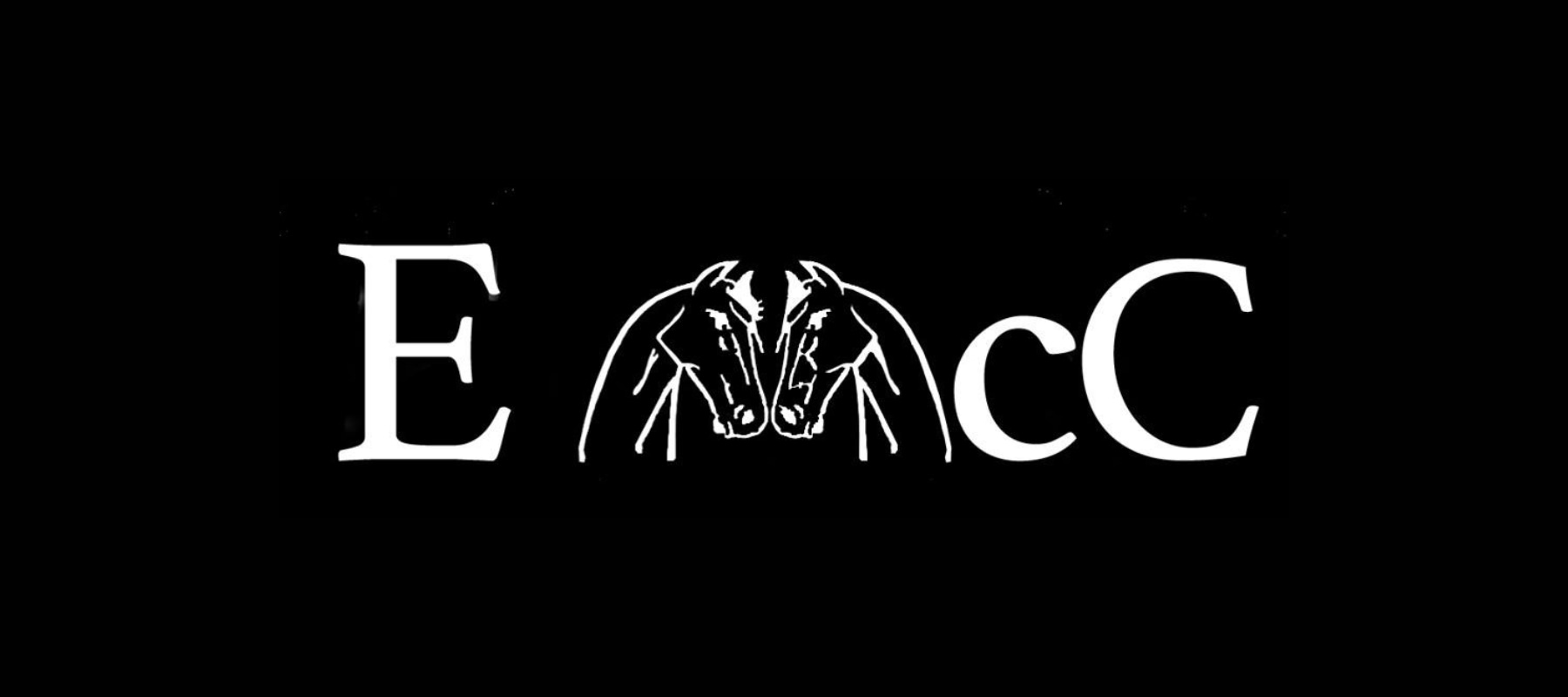 EMcC Racing - Optimisably